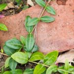 4949正在开奖,幸运大奖花落谁家? 72du8koy7