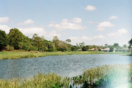 深入了解大赢家娱乐的安全性与用户保障措施 深入了解大赢家娱乐的安全性与用户保障措施