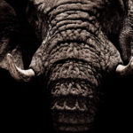 J2频道高清直播在线观看精彩节目 l2xqth7xg